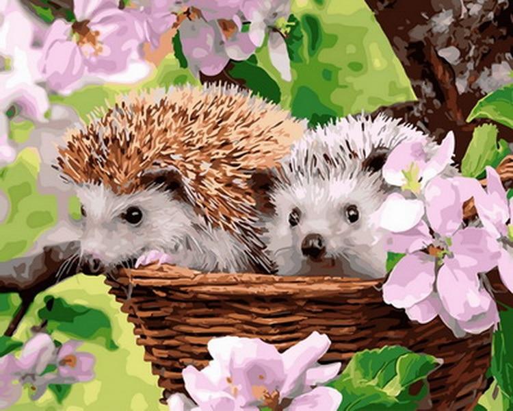 

Adorable Hedgehog – Paint By Numbers - 40*50CM, 501 Original