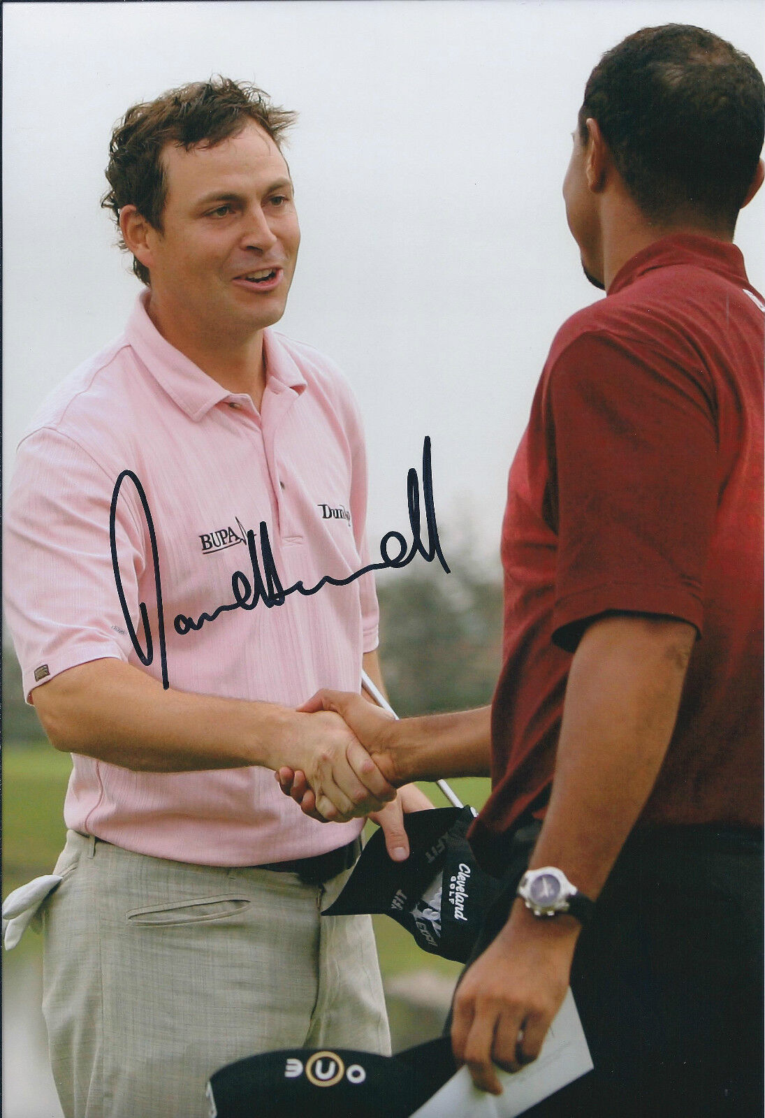 David HOWELL SIGNED Autograph 12x8 Photo Poster painting with Tiger WOODS AFTAL COA Genuine