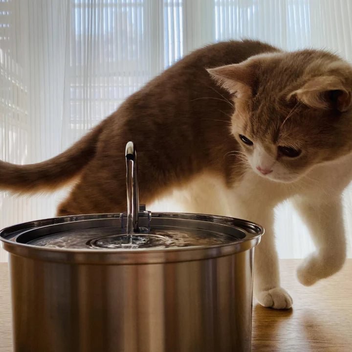 Durable Stainless Utra-Quiet Cat Water Fountain