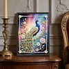 Diamond Painting-DIY Special Shaped Drill Pearl Painting Peacock(30x40cm)