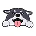 Husky Feliz Saltador