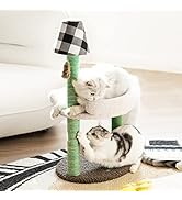 Cat Scratching Post