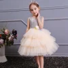 Girl Ceremonies Dress Wedding Party Birthday Gown Vestidos Tutu Dress - honeylives