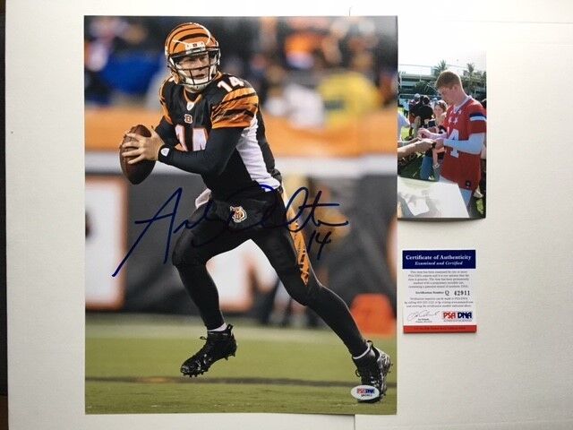 Andy Dalton Hot! signed autographed 11x14 Bengals Photo Poster painting PSA/DNA cert PROOF!!