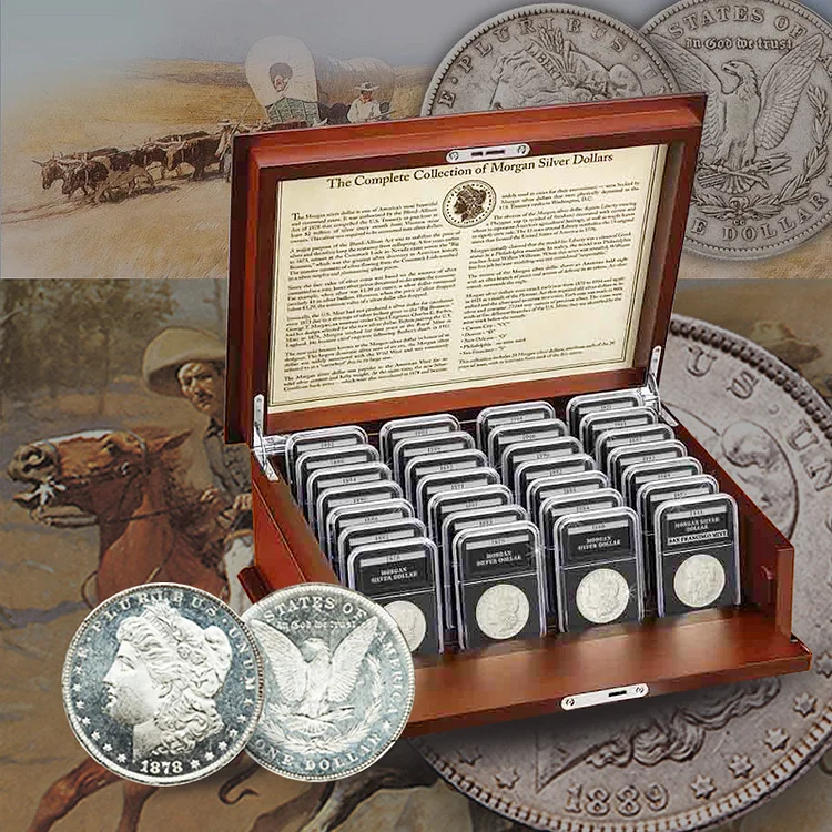 1878-1921 Morgan Dollar Silver Coin(Full Set 28 Coins)