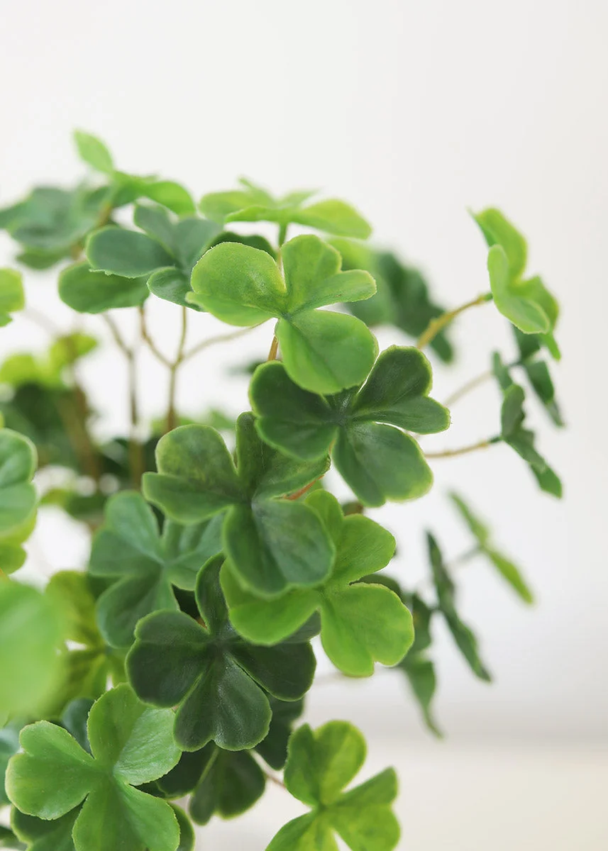 Fake Plants 4-Leaf Clover Bush - 11"