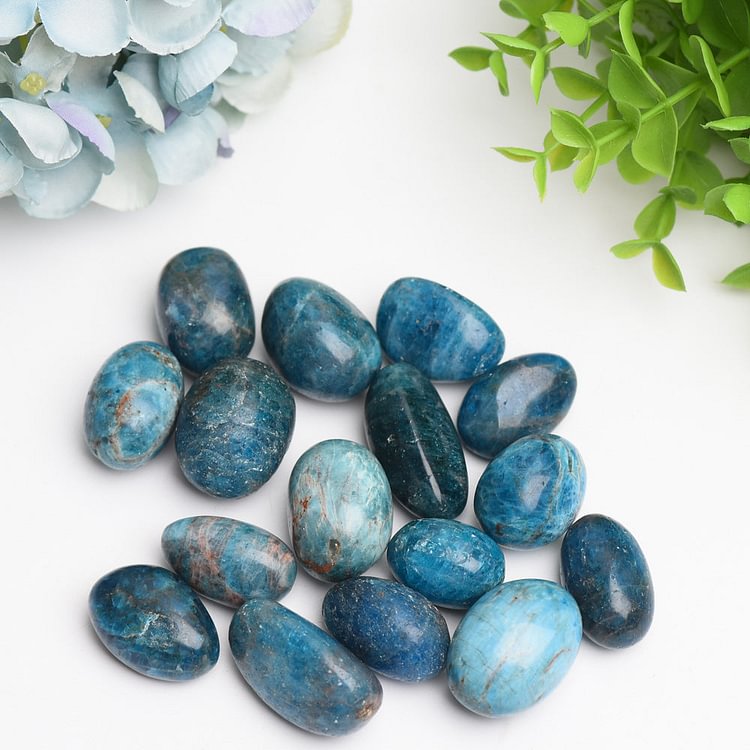 25-30mm Blue Appatite Crystal Tumbles Bag