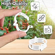 tomato plant support