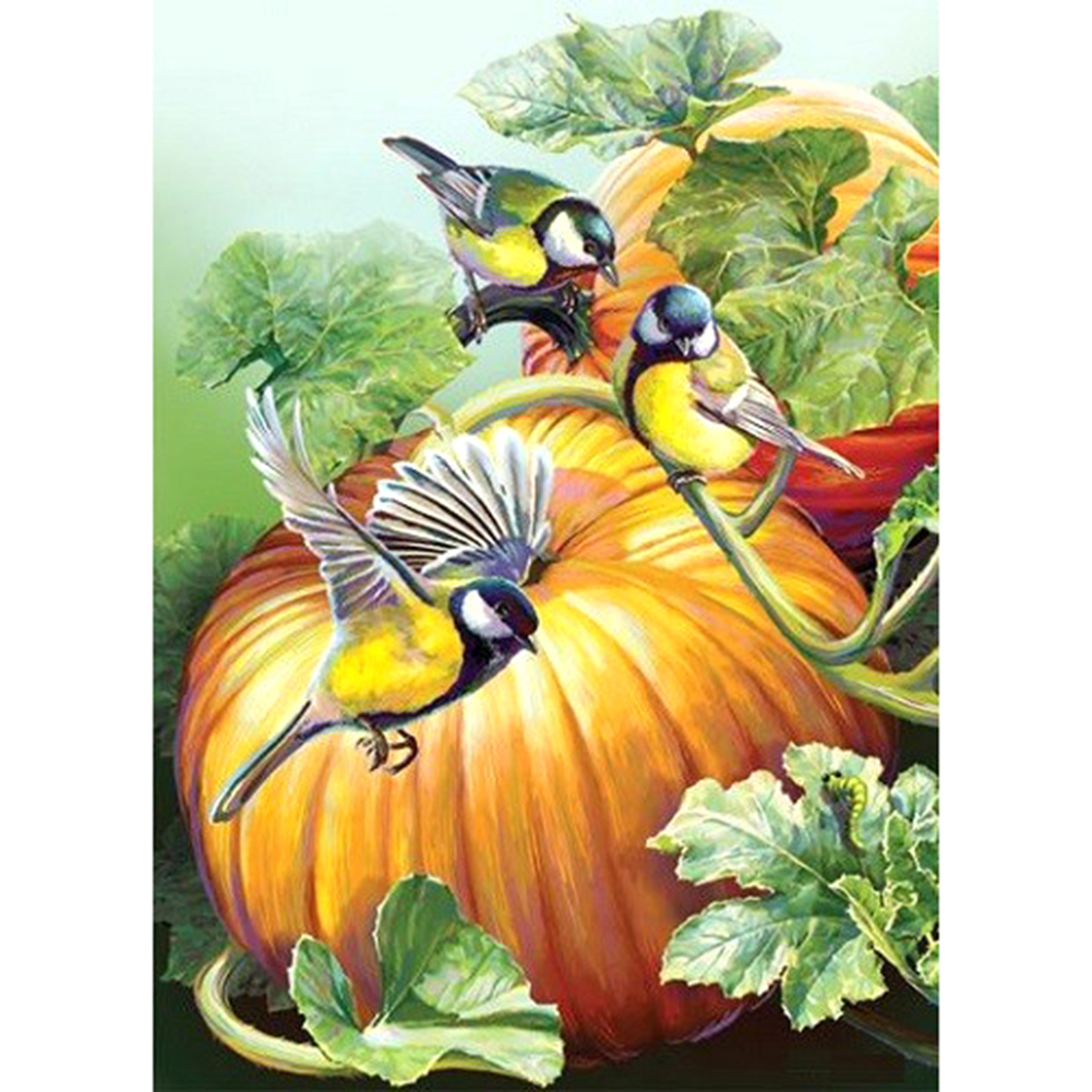 

Pumpkin and Bird - Round Drill Diamond Painting - 30*40CM, 501 Original