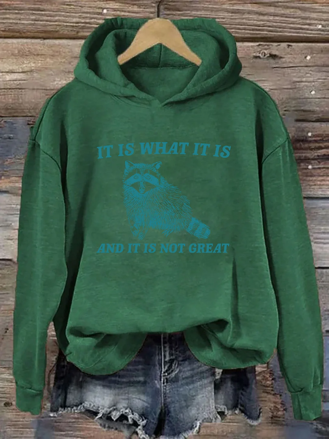It Is What It Is And It Is Not Great Hoodie