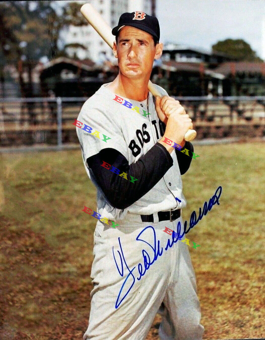 Ted Williams Boston Red Sox Signed Autographed 8x10 Photo Poster painting Reprint