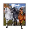 Horse - Partial Round Diamond Painting(45*45cm)