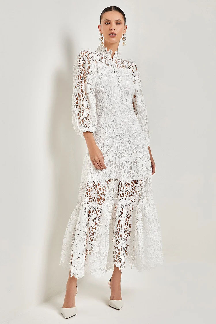 Joa Embroidered Lace Trimmed Flare Maxi Dress