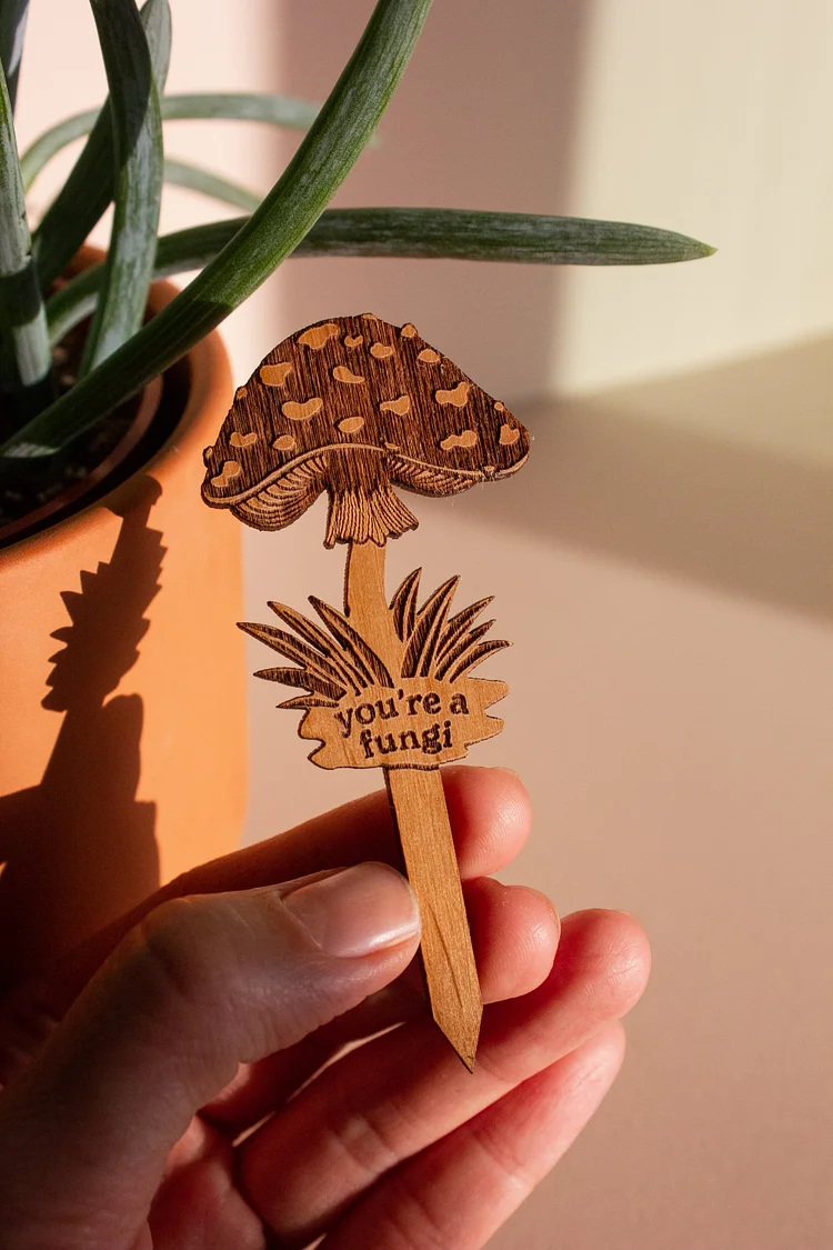 Tiny Mushroom Love Notes for Your Plant Bebes