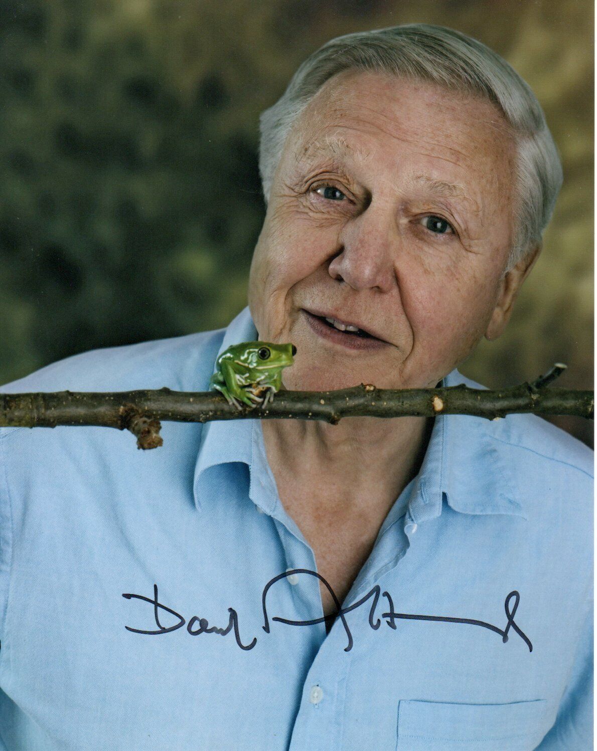 David Attenborough HAND Signed 10x8' Photo Poster paintinggraph Naturalist Broadcaster Autograph