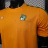 Player Version 2026 Ivory Coast Orange Terrace Icons White Jersey