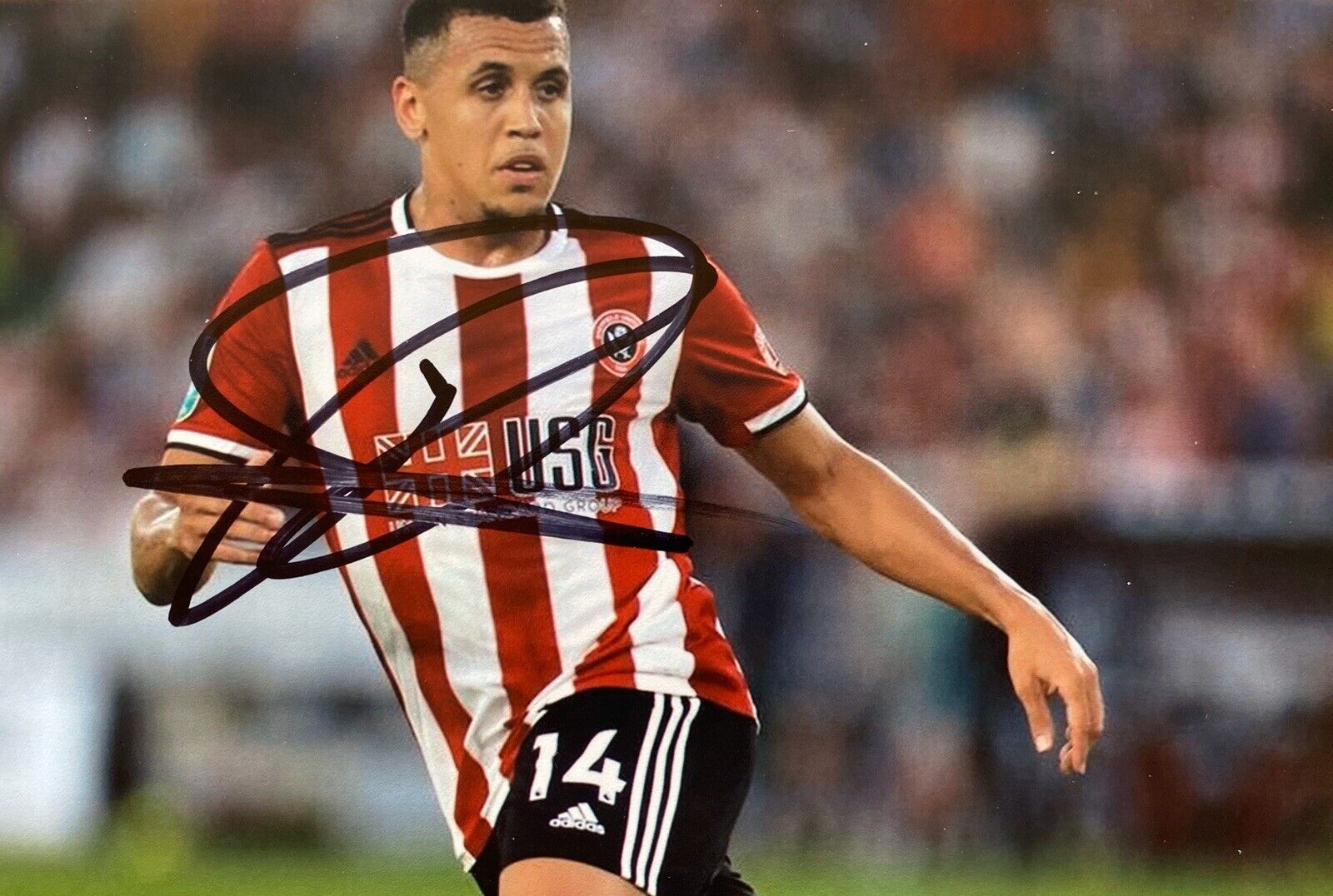 Ravel Morrison Genuine Hand Signed 6X4 Photo Poster painting - Sheffield United 2