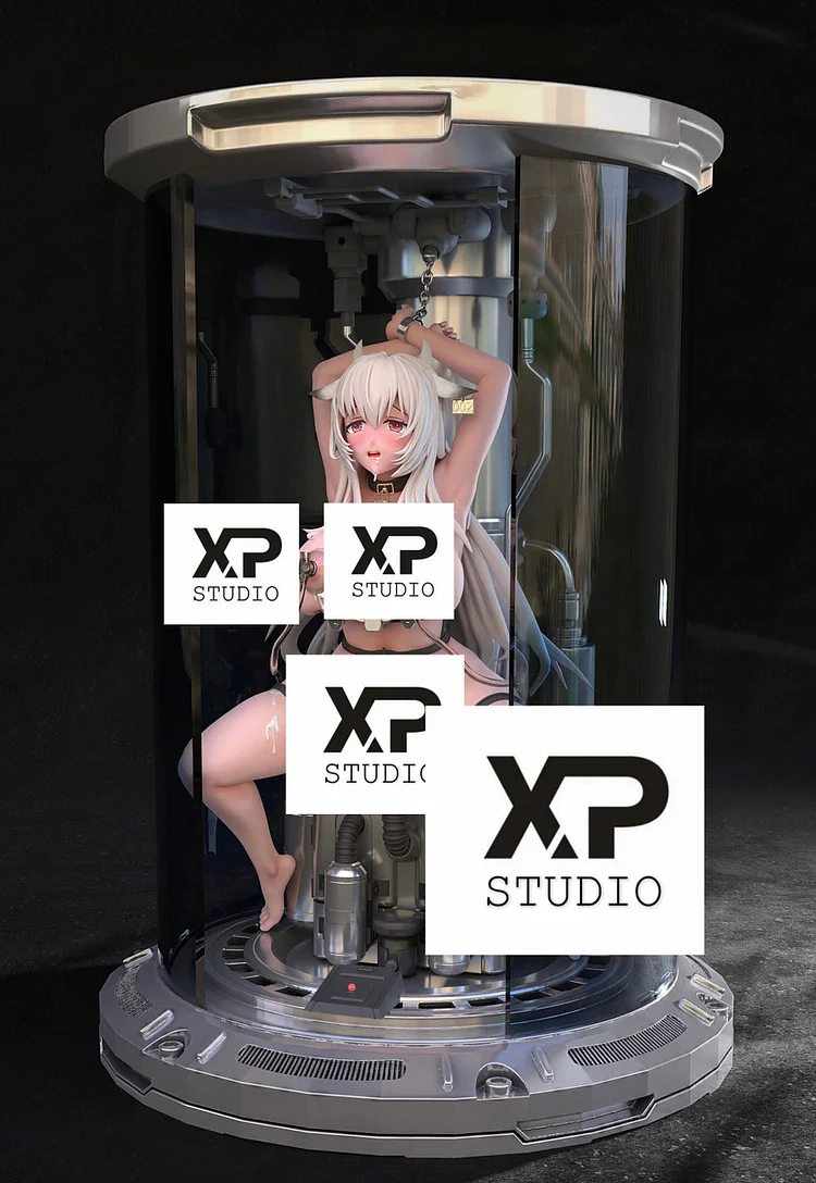 XP Studio Archives - FavorGK