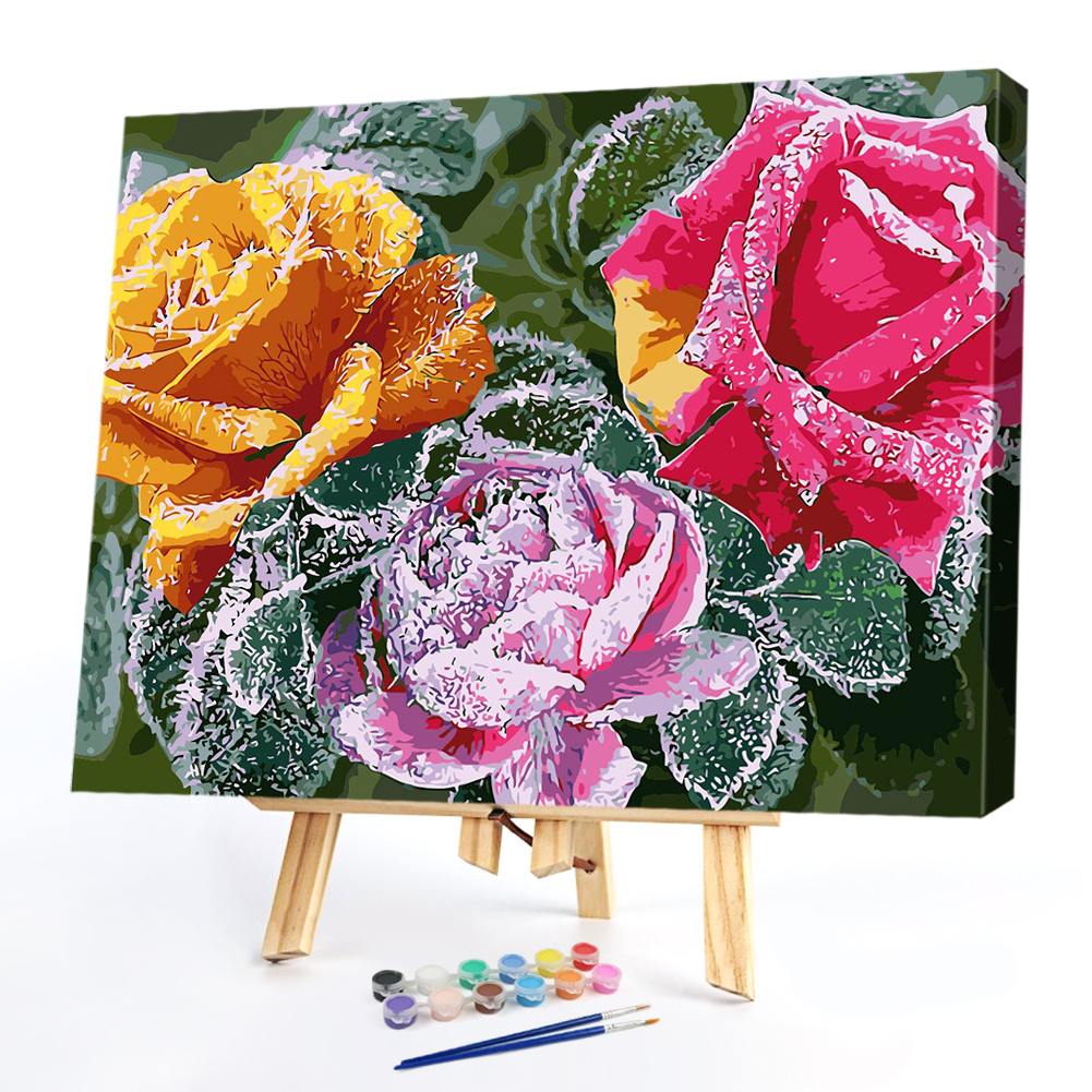 

40*50CM Paint By Numbers-Flowers, 501 Original