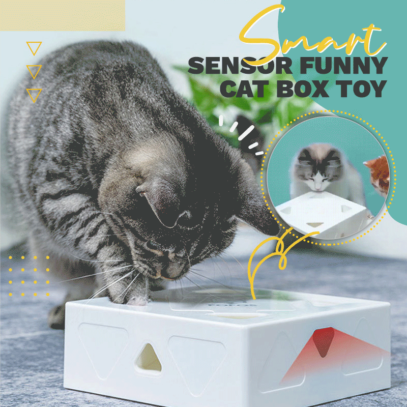 Smart Sensor Funny Cat Box Toy