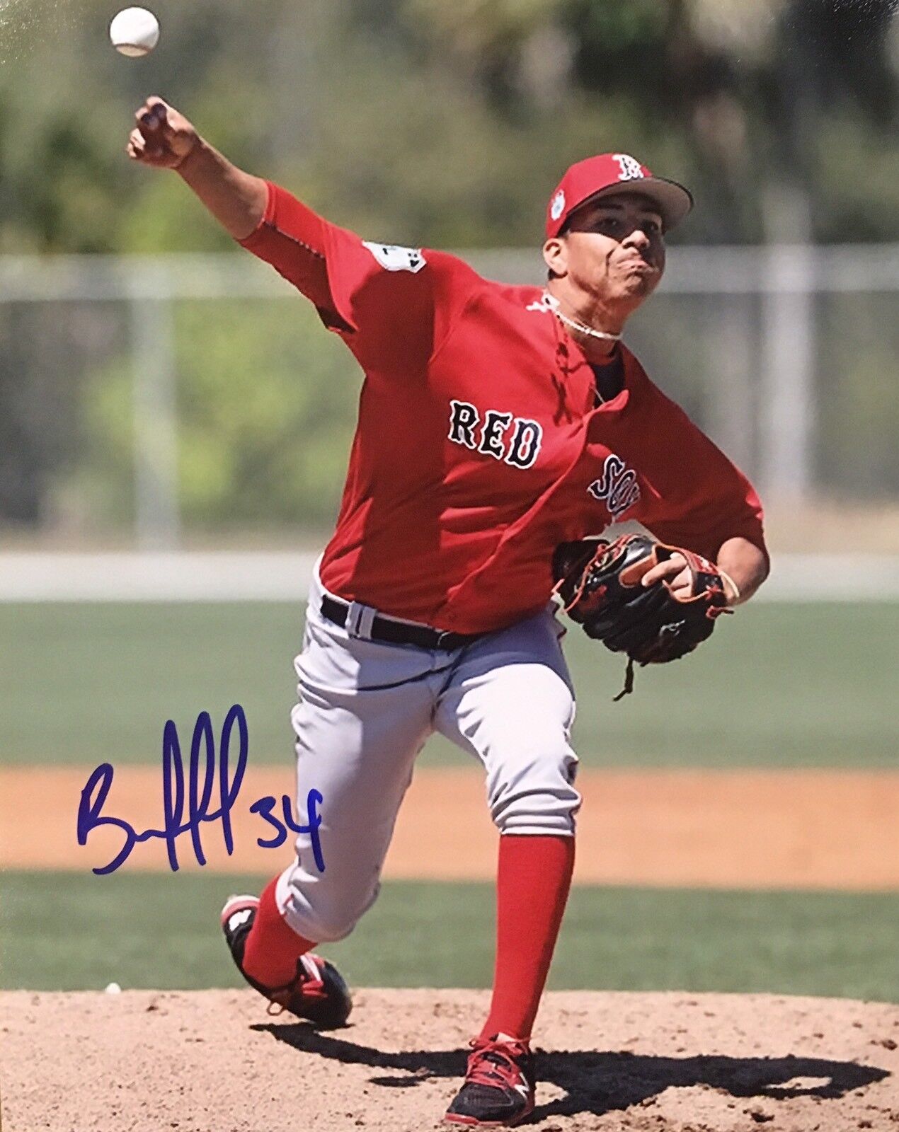 PROOF! BRYAN MATA Signed Autographed 8x10 Photo Poster painting BOSTON RED SOX Top Prospect