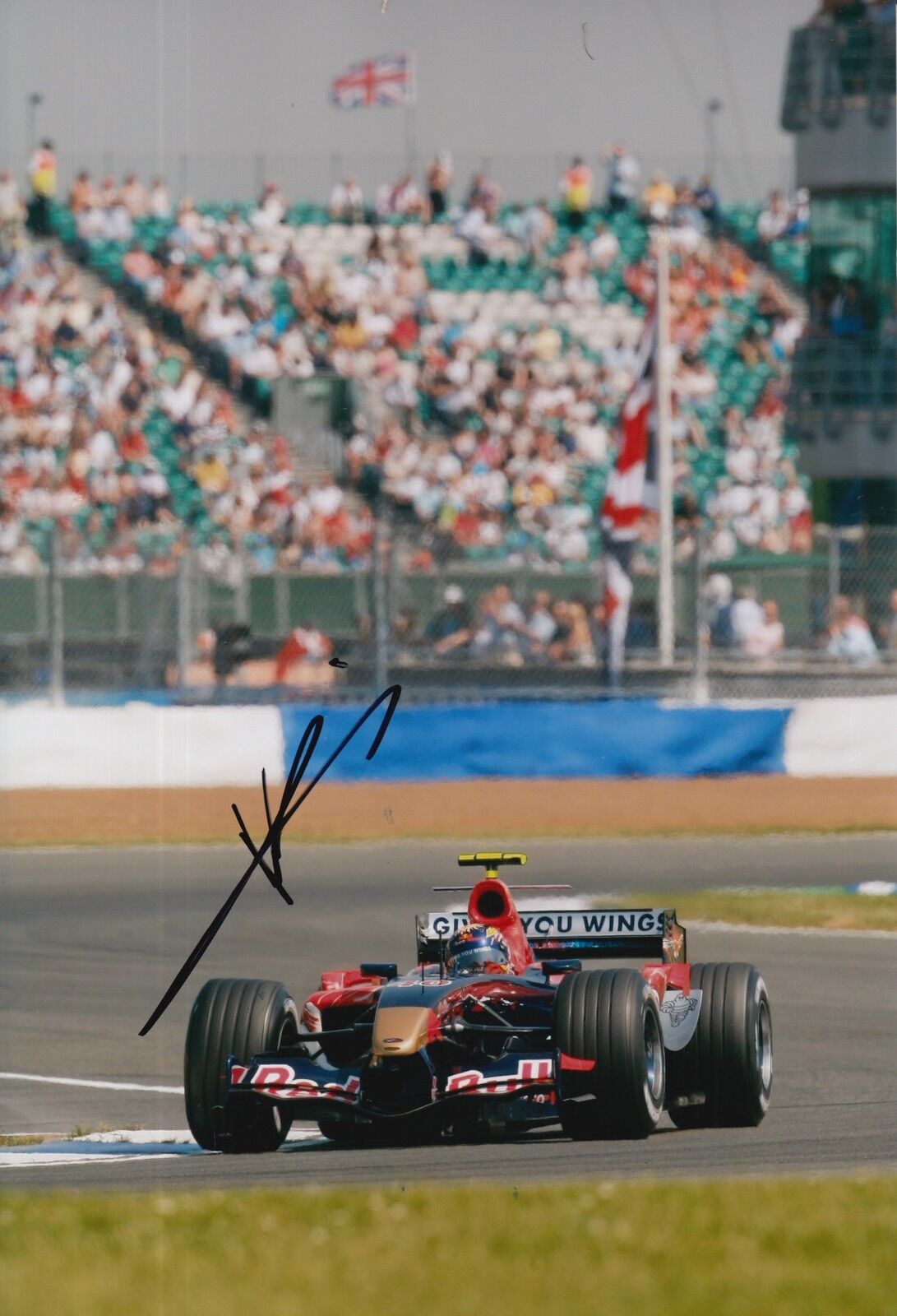 Neel Jani Hand Signed 12x8 Photo Poster painting Scuderia Toro Rosso F1 7.