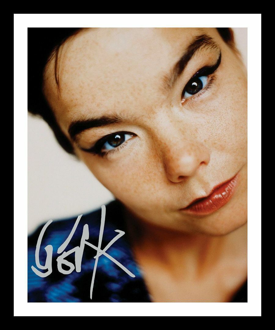 Bjork Autograph Signed & Framed Photo Poster painting