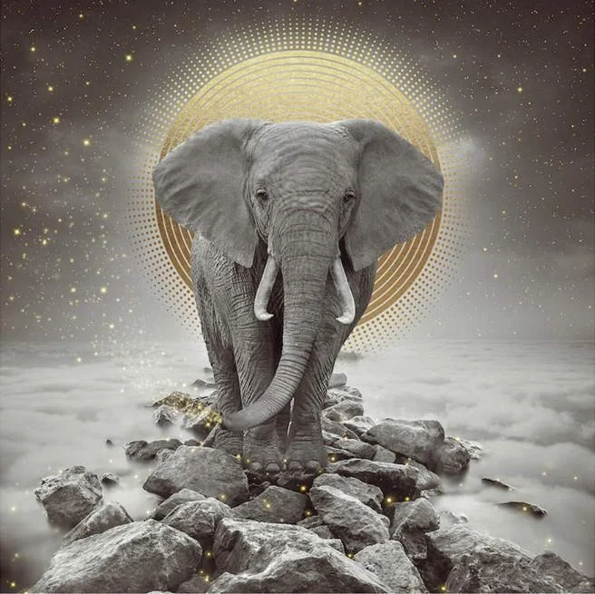 Full Round Diamond Painting - Elephant(30*30cm)
