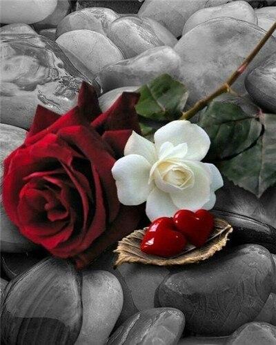 

White And Red Roses on Gravel – Paint By Numbers - 40*50CM, 501 Original