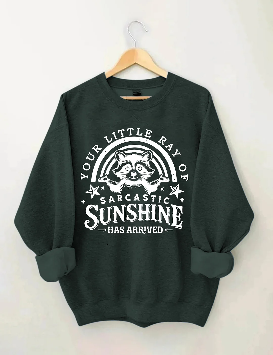 Your little Ray Of Sarcastic Sunshine Has arrived Sweatshirt