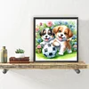 Zwei Hunde im Gras und Fußball - Rundbohrer Diamantmalerei - 30*30cm