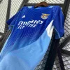 25/26 Benfica Goalkeeper Blue Soccer Jersey