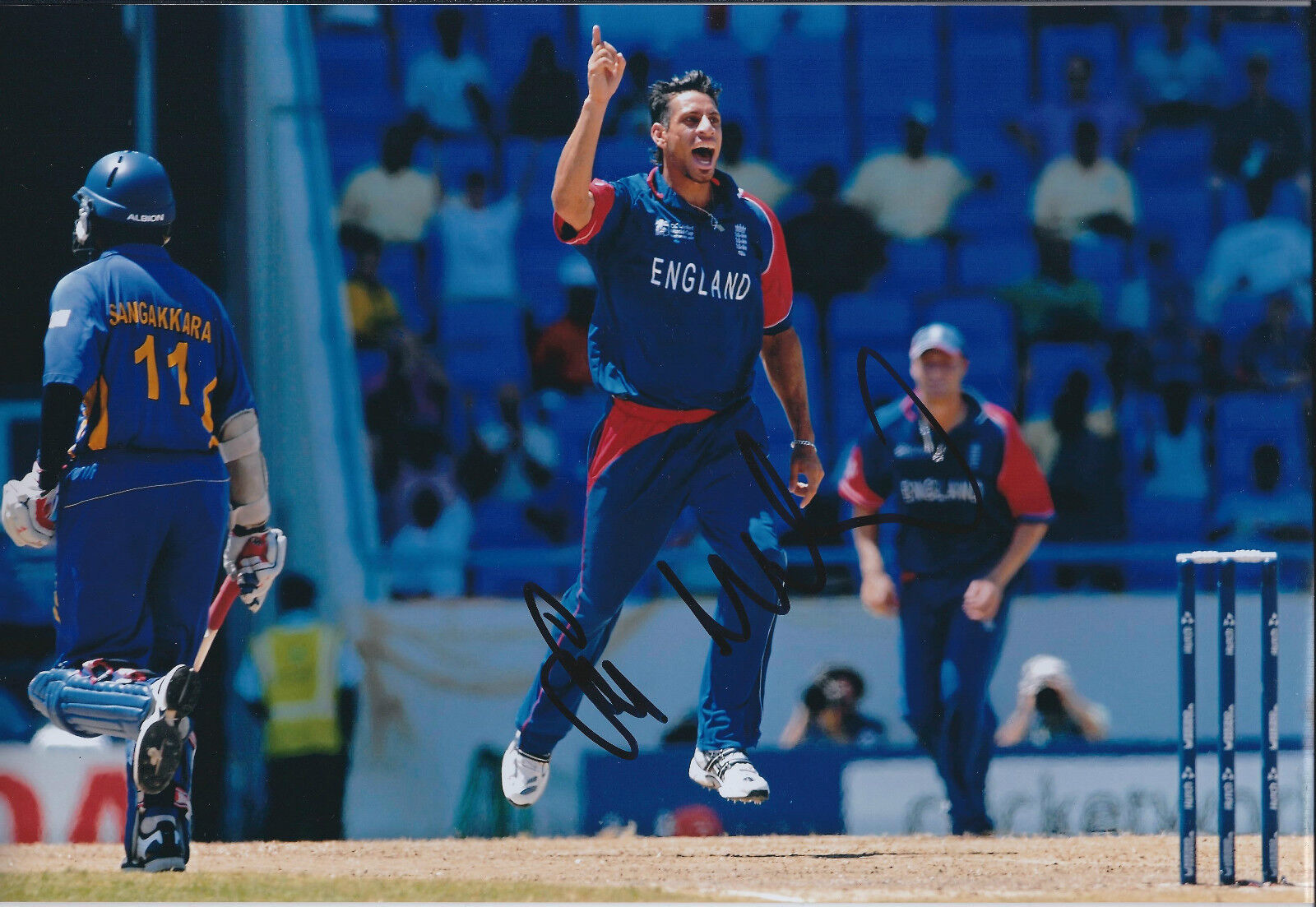 Sajid Saj MAHMOOD Signed Autograph 12x8 Photo Poster painting AFTAL COA England CRICKET