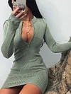 Solid Color Bodycon Long Sleeves Mini Dress