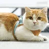 Cat Vest And Belt Kit Pet Traction Rope