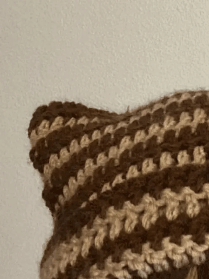 Brownm Hand Made Horn Detail Striped Knitted Hat