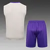 2025/2026 Real Madrid Pre-Match Training Apricot Vest+Shorts Football1:1 Thai Quality