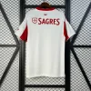 25/26 Benfica Soccer Jersey Second Away