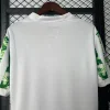 2025 Nigeria Soccer Jersey Home
