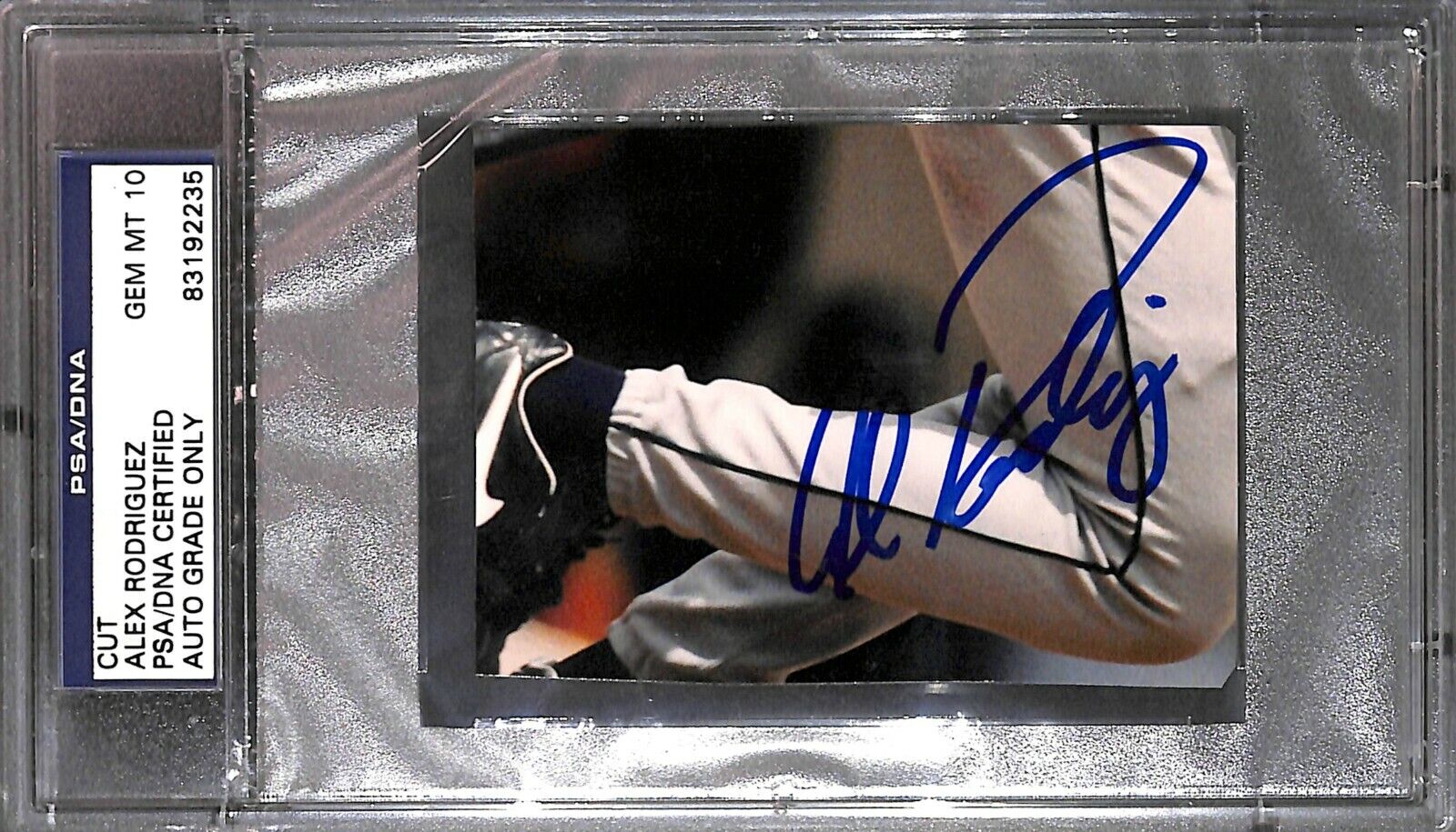 Alex Rodriguez Cut Photo Poster painting PSA/DNA COA Gem Mint 10 Autograph Yankees Baseball 2