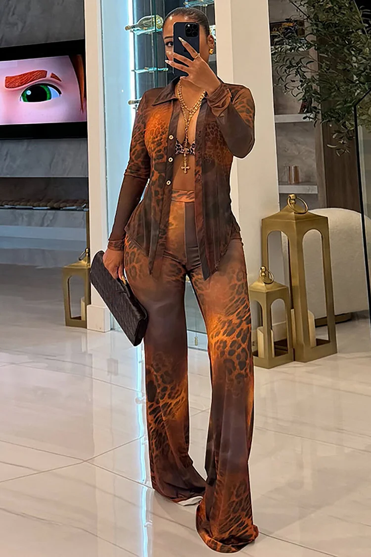 Leopard Print Mesh Long Sleeve Blouse Straight Leg Pants 2pcs Set-Brown