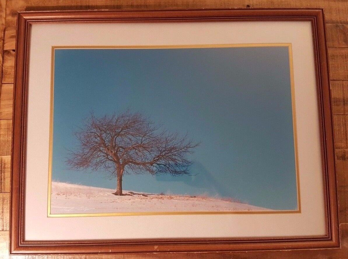 VERY NICE - Dick Allyn / Signed Photo Poster painting - Matted & Framed (25 1/2 x 20