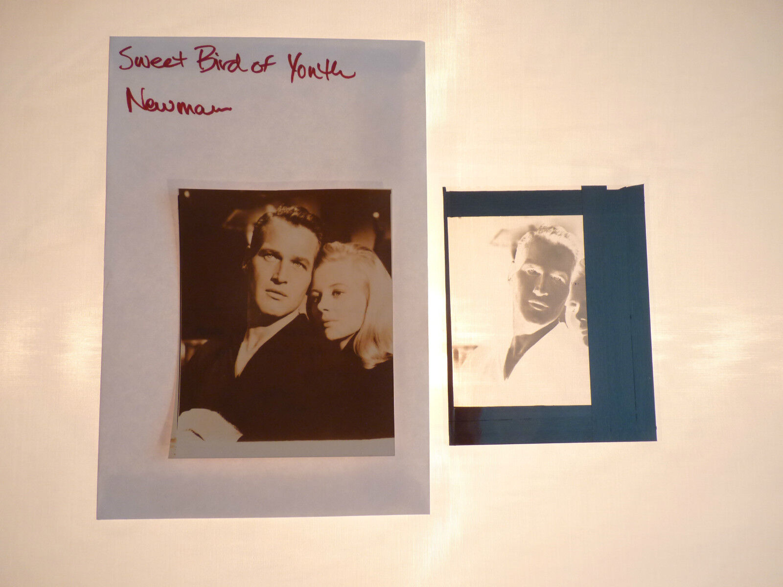 Sweet Bird of Youth Movie Paul Newman Shirley Knight (1) Photo Poster painting (1) Negative Lot