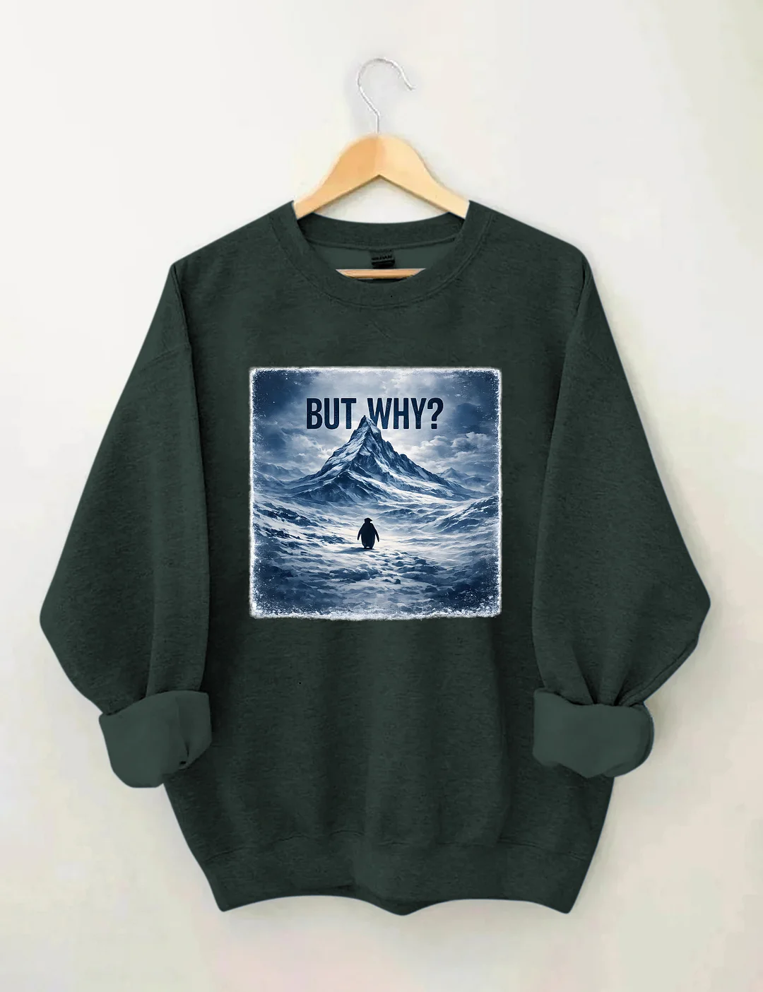 But Why Penguin Sweatshirt