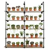 [US Local Warehouse] Industrial Pipe Shelf 5 Tier 72 Inch Industrial Wall Shelves with Solid Wood Plank Pipe Shelving Wall Mounted for Kitchen and Bar Shelving