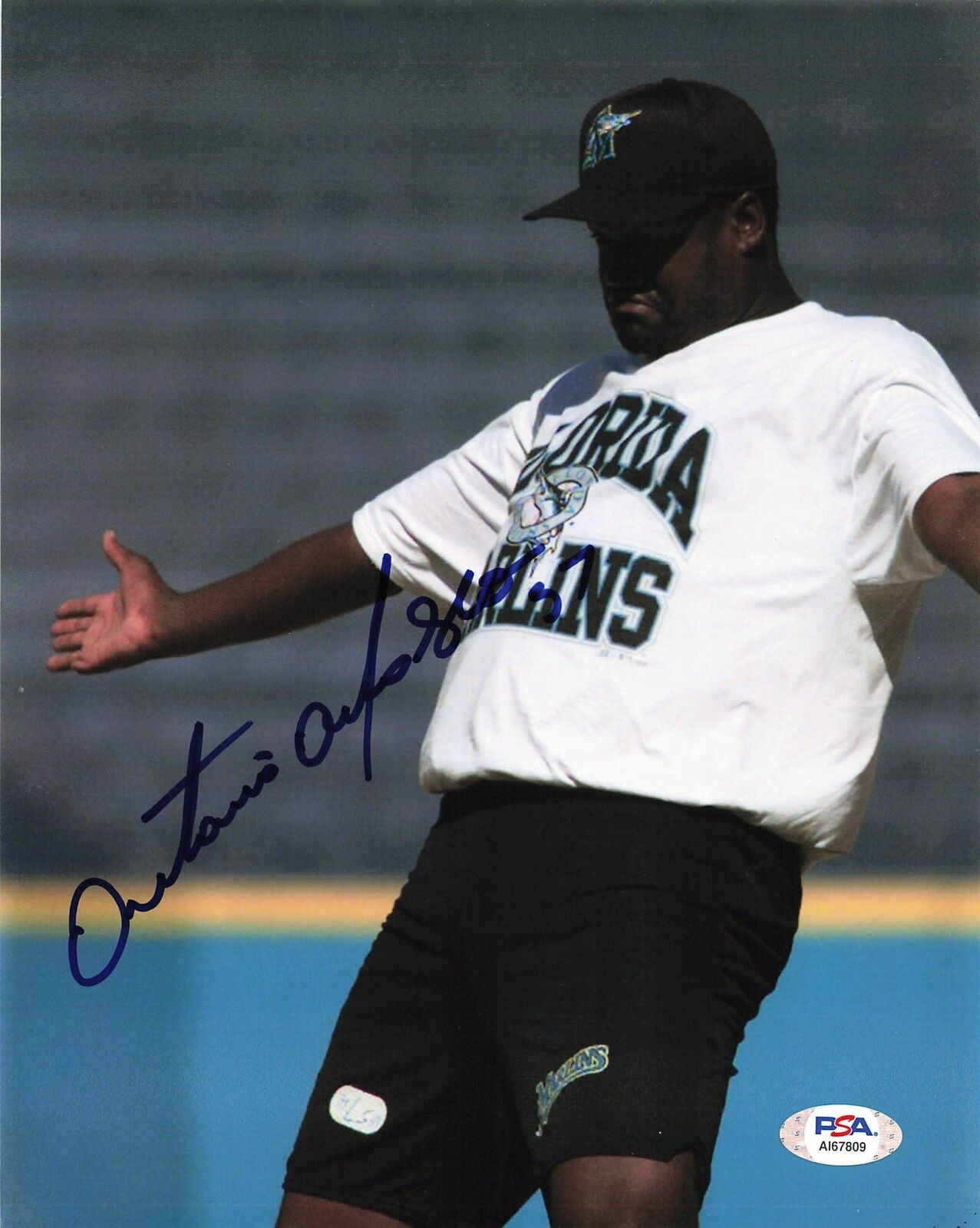 Antonio Alfonseca signed 8x10 Photo Poster painting PSA/DNA Florida Marlins Autographed