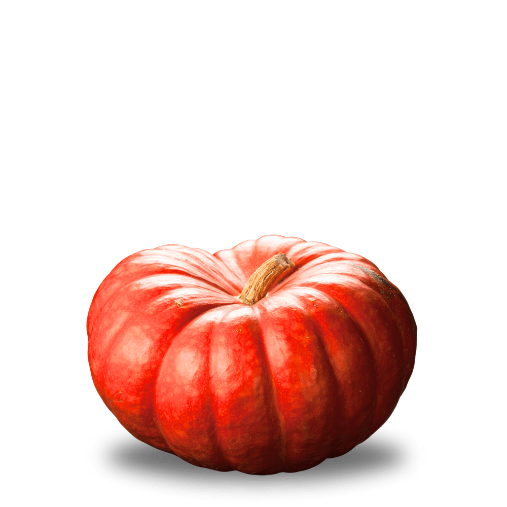 Pumpkin Muscade de Provence Seeds &ndash; French Heirloom - Rich Sweet Flesh