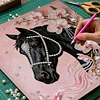 DIY Pearl Painting Horse for Home Wall Decor with Frame(30*30cm)
