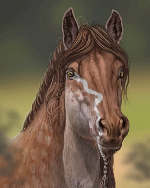 

Beautiful Brown Horse – Paint By Numbers - 40*50CM, 501 Original