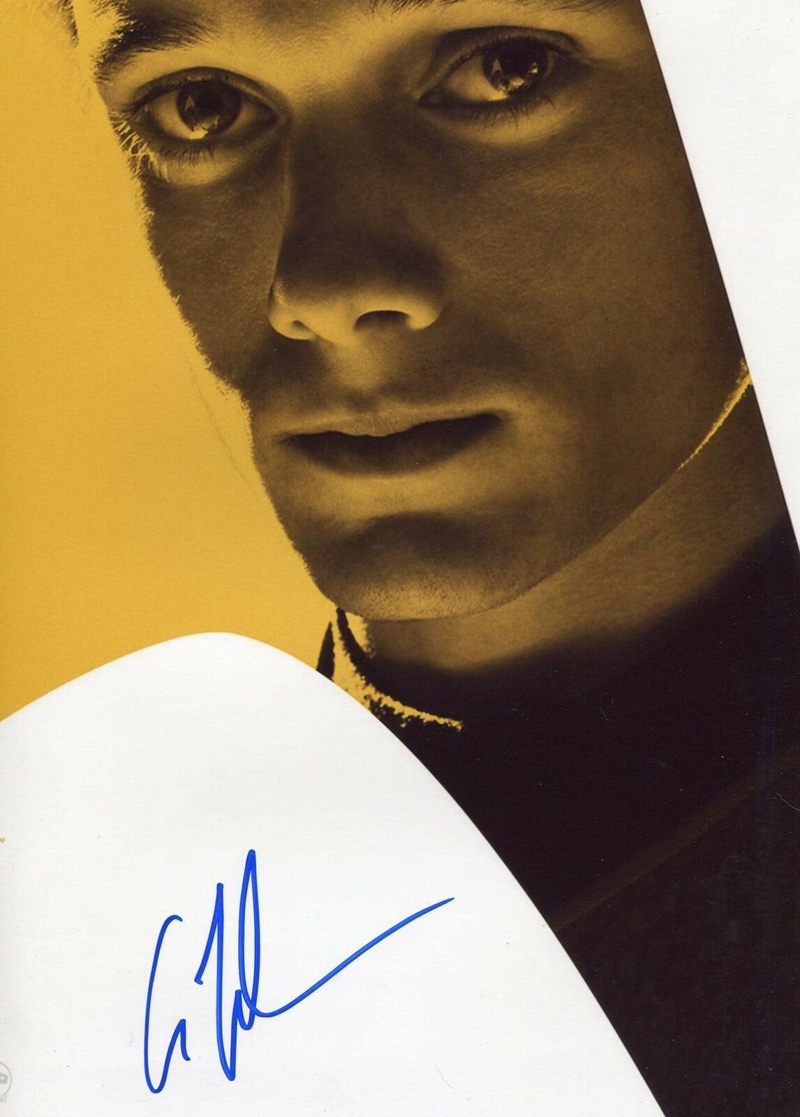 Anton Yelchin (+) TV and FILM ACTOR autograph, signed Photo Poster painting